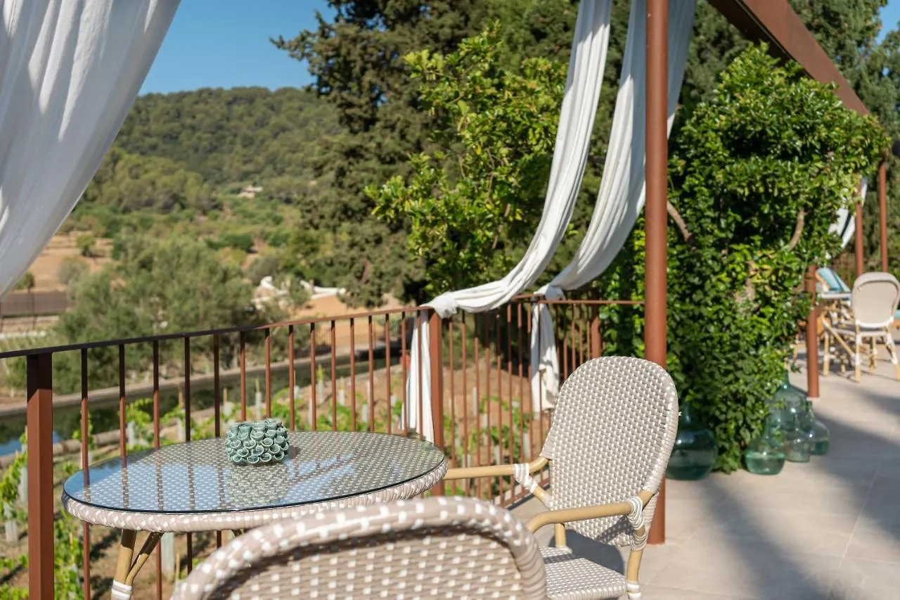 Hotell Rondaia, A Winery & Fincahotel-Agroturismo In Tramuntana Esporles Spanien