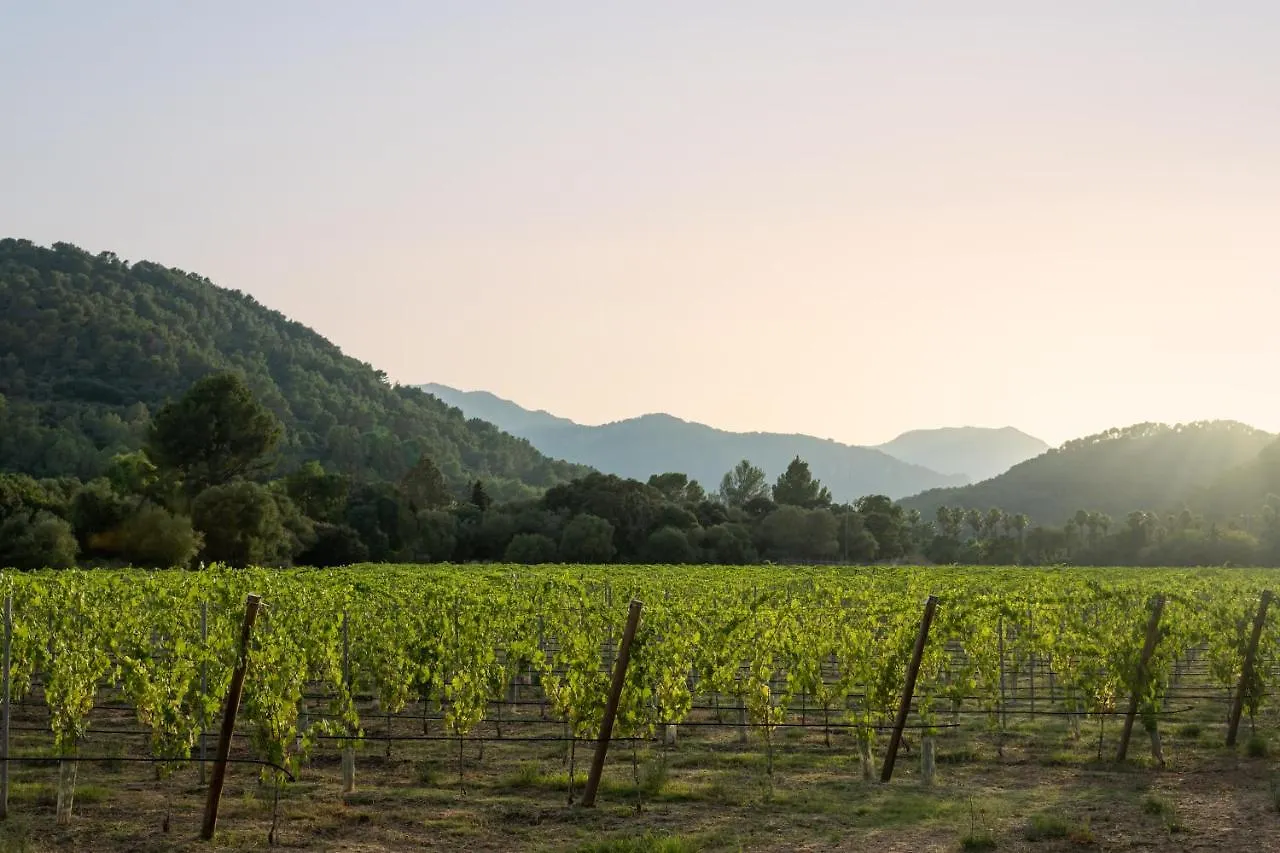 Rondaia, A Winery & Fincahotel-Agroturismo In Tramuntana Esporles Hotel