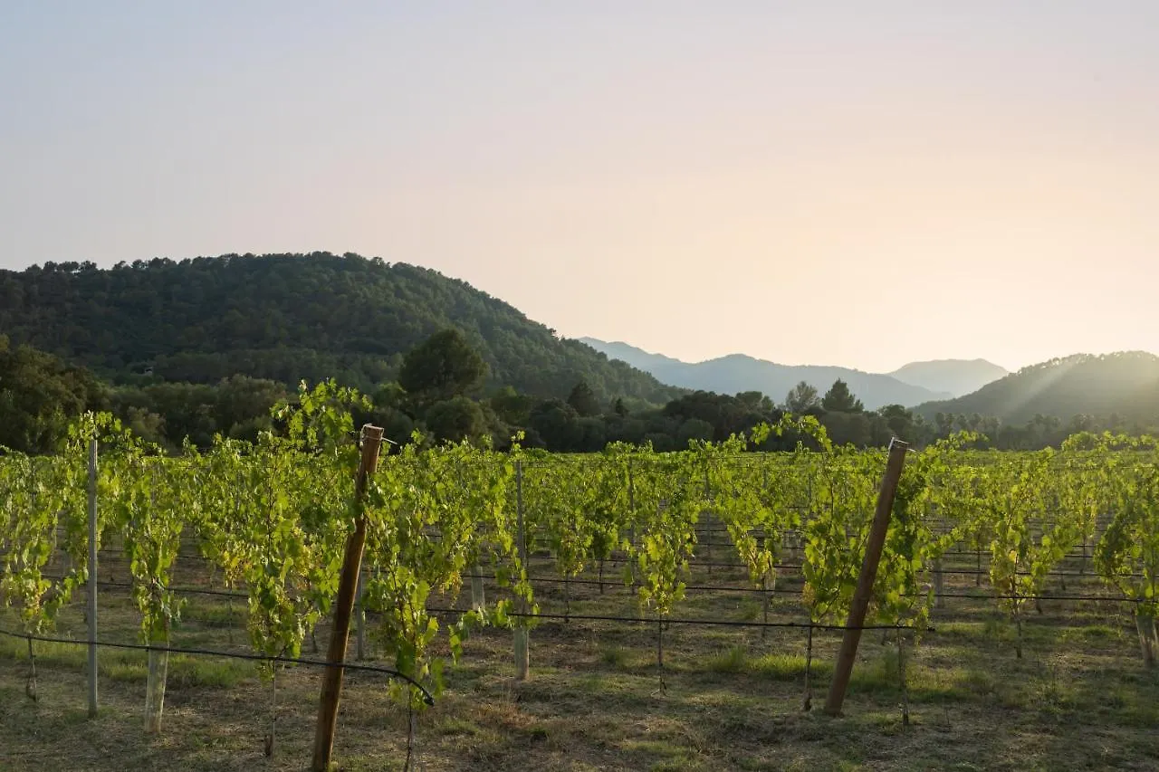 Rondaia, A Winery & Fincahotel-Agroturismo In Tramuntana Esporles