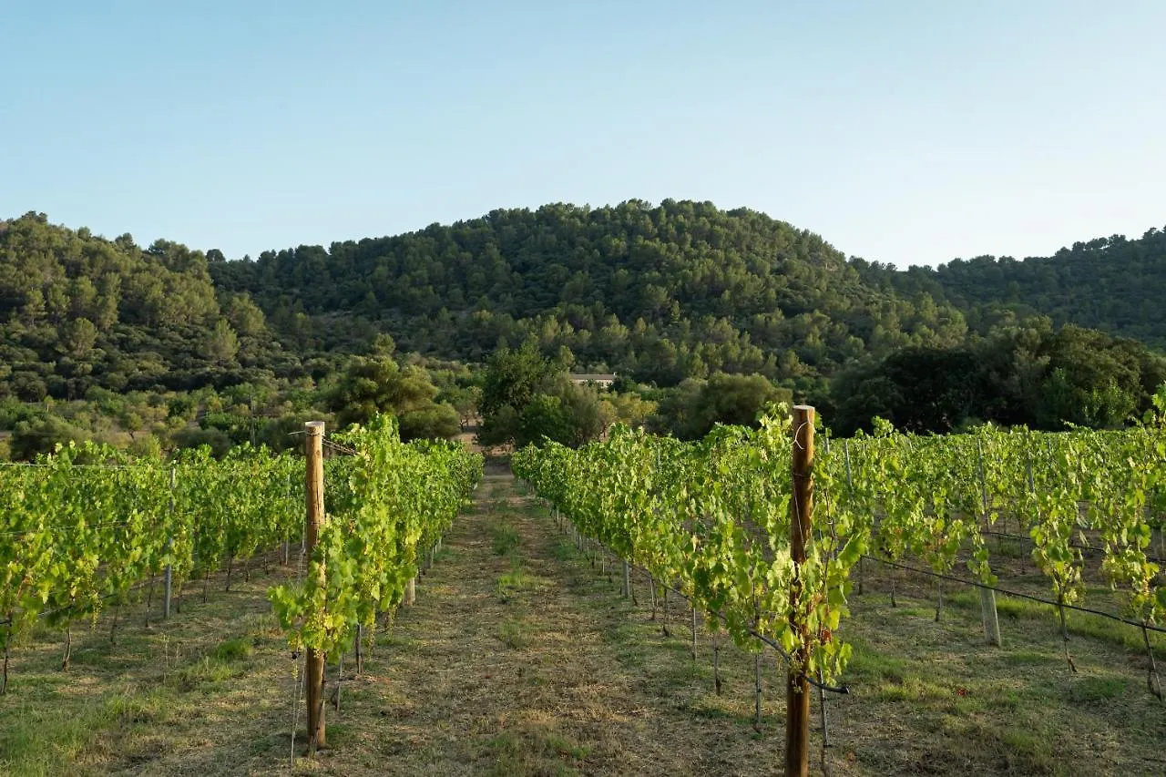Hotell Rondaia, A Winery & Fincahotel-Agroturismo In Tramuntana Esporles