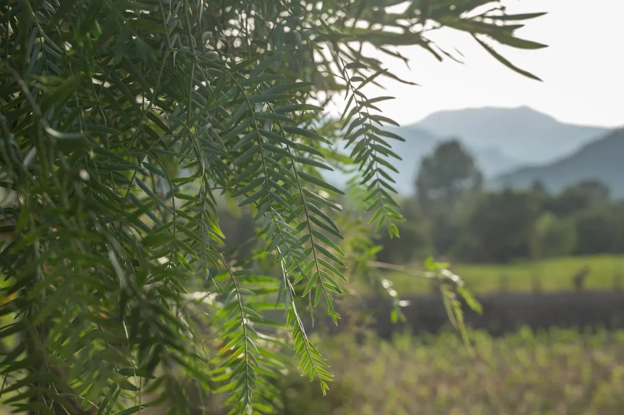 Rondaia, A Winery & Fincahotel-Agroturismo In Tramuntana Esporles Hiszpania