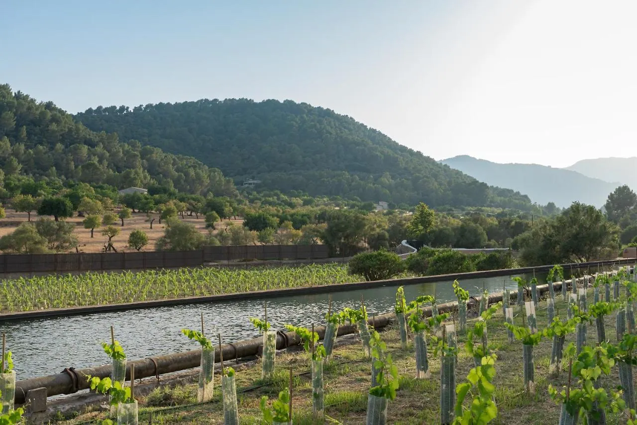 Rondaia, A Winery & Fincahotel-Agroturismo In Tramuntana Esporles Hotell