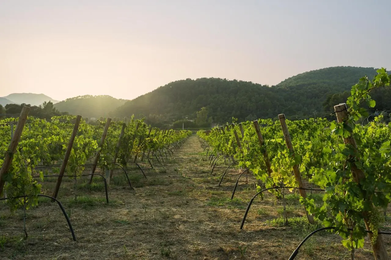 Rondaia, A Winery & Fincahotel-Agroturismo In Tramuntana Esporles