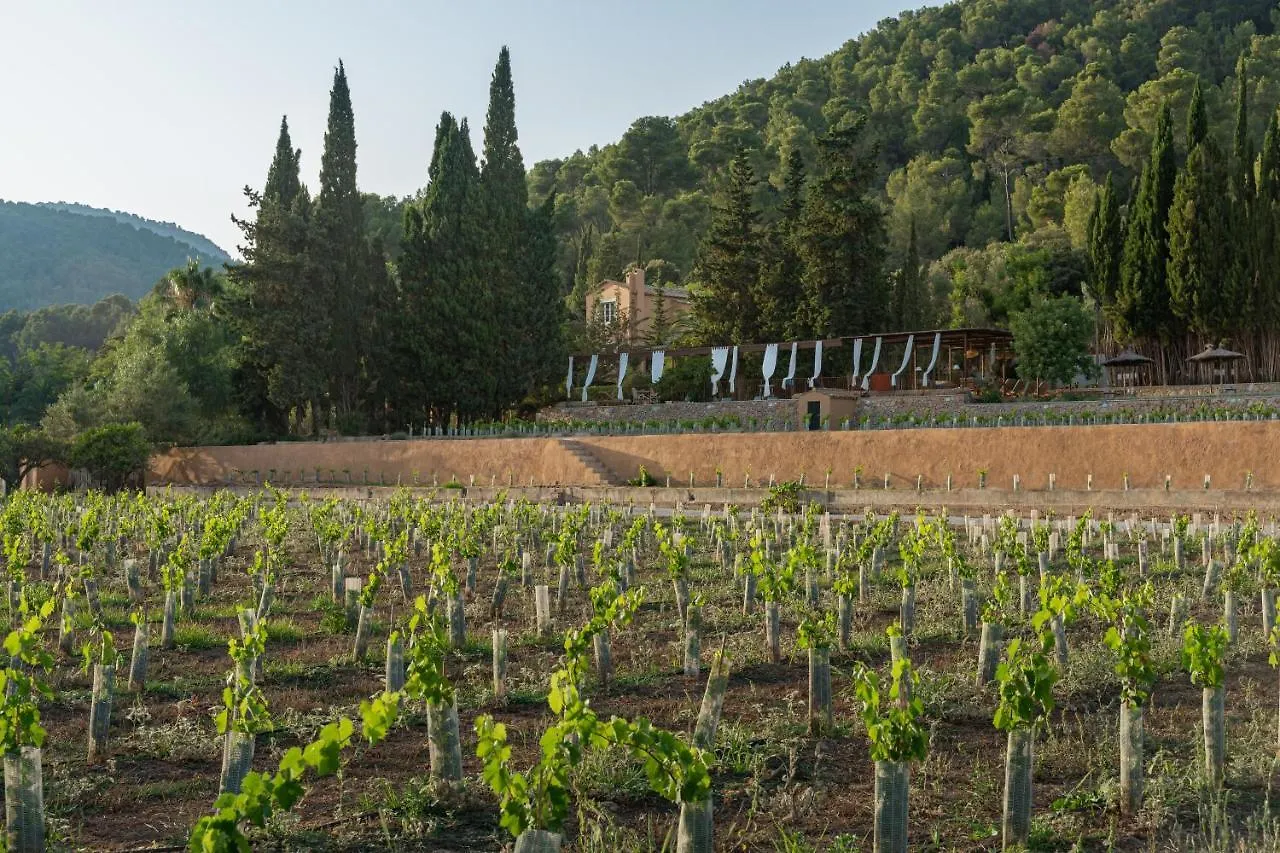 Rondaia, A Winery & Fincahotel-Agroturismo In Tramuntana Esporles Hotell